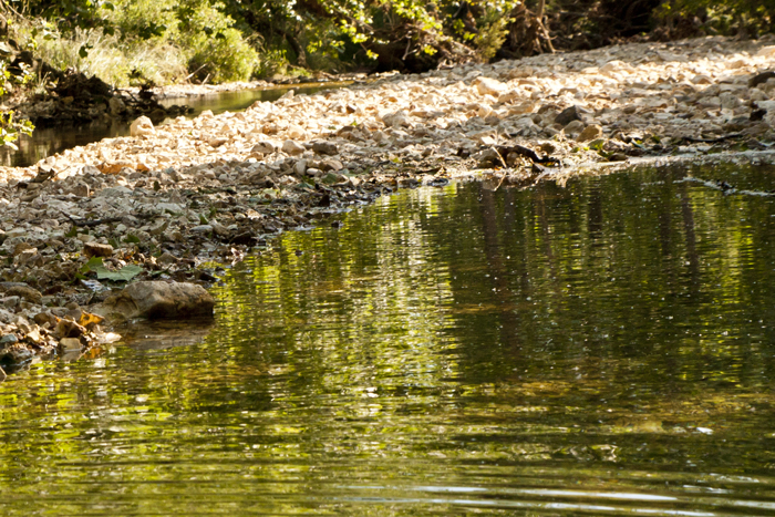 Bison Ranch Creek