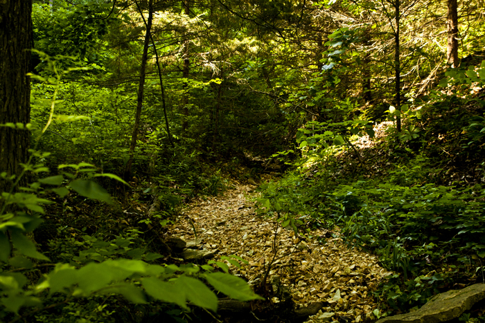 Hiking Trail