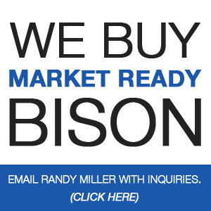 We Buy Market Ready Bison